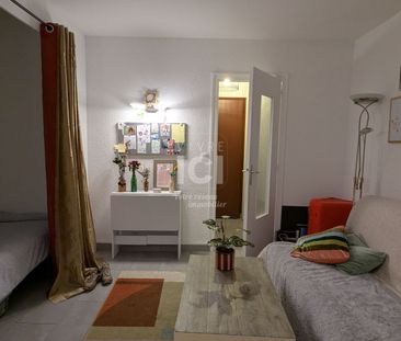 Location Appartement 1 pièce 31m² - Photo 6