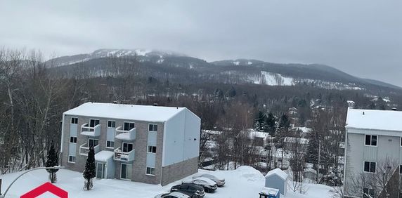 Appartement Bromont � Louer - Photo 2