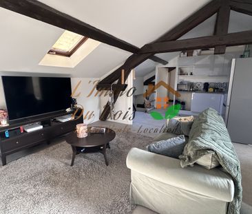 Location Appartement 2 pièces 44m² CHAVANAY 42410 - Photo 4