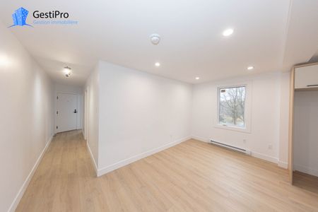 2995 St-Léandre - Photo 2