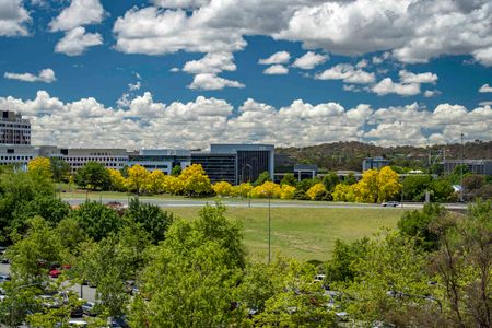 One Bedroom Apartment In Prime Location - Photo 5