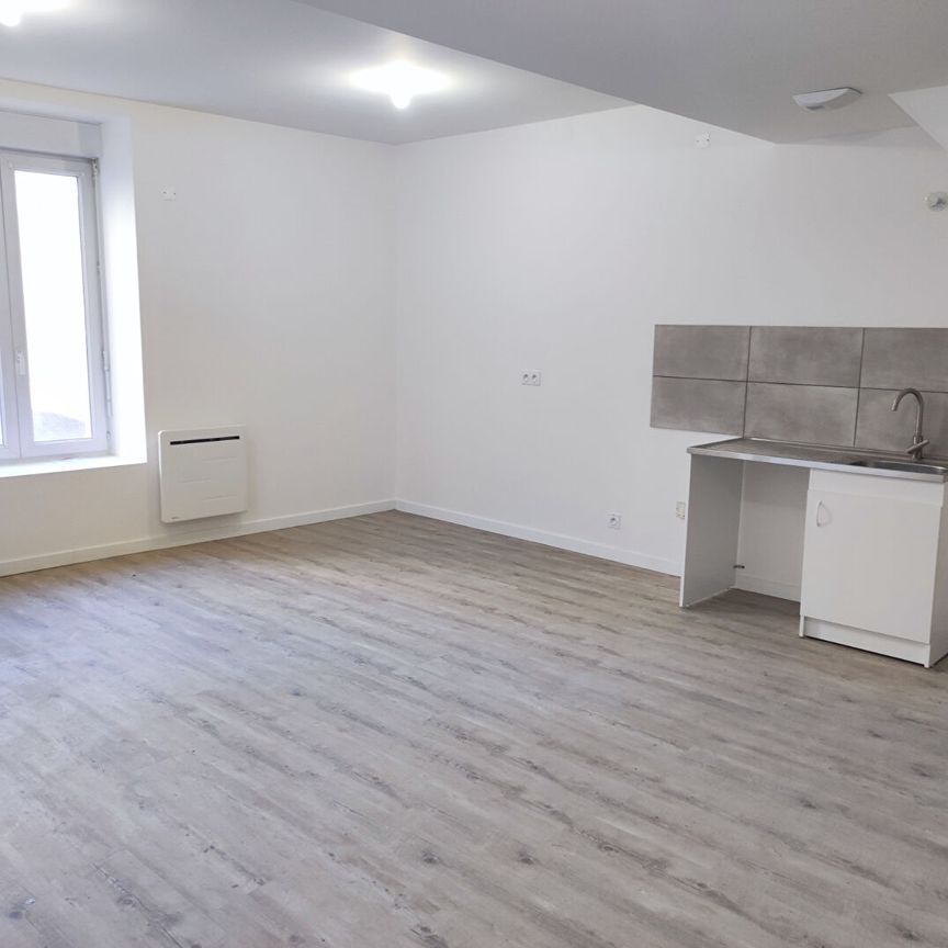 Location maison 2 pièces, 55.00m², Mauges-sur-Loire - Photo 1