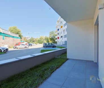 Dwa pokoje przy Politechnice, 34 mkw - Photo 6