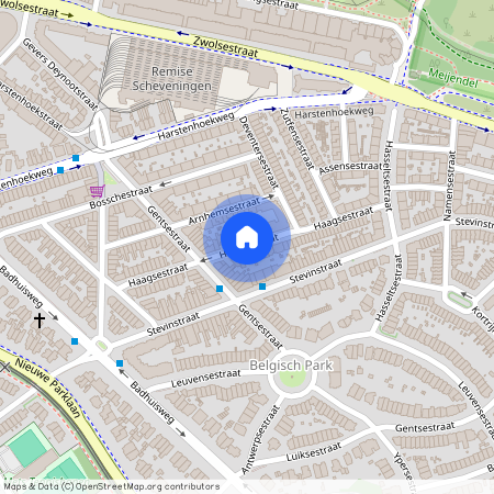 Belgisch Park, 2587 TG, Haagsestraat, Den Haag