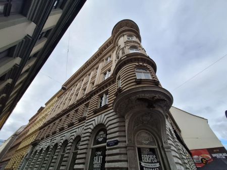 Repräsentativer Stil-TOP-Altbau an der Lackierergasse unbefristet - wunderschön - Foto 4