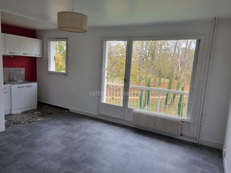 Location Appartement 1 pièce 24m² - Photo 3