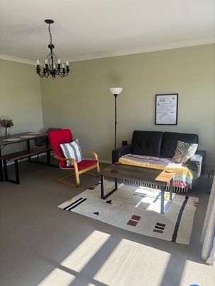 Move Straight-In: Idyllic Havelock North - Photo 1