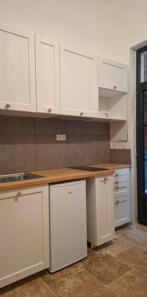 Location Appartement 1 pièce 15m² NIMES 30000 - Photo 1