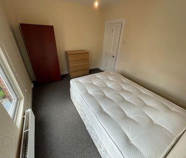 3 St Albans Gardens, Belfast, BT9 5DR - Photo 6