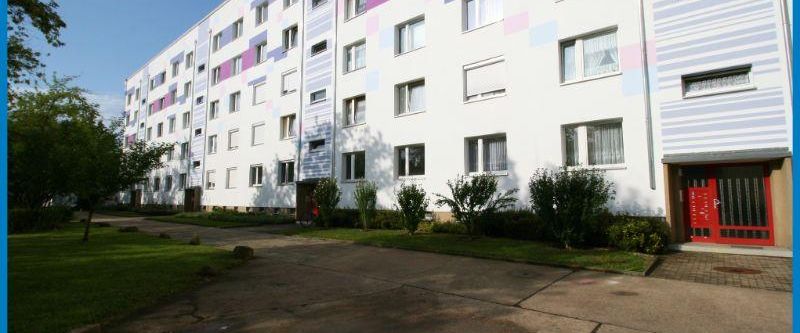 Geräumige 2-Raumwohnung in ruhiger Lage - Photo 1