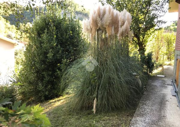 Casa indipendente in affitto