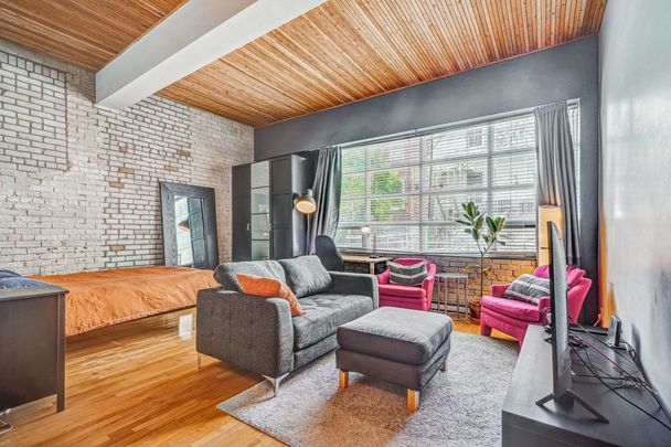 Mile-Ex: Loft à louer complètement meublé avec garage. - Photo 1