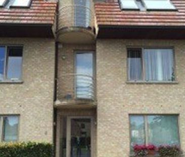 Appartement te huur in Drongen voor € 745 met 1 slaapkamer - Photo 5