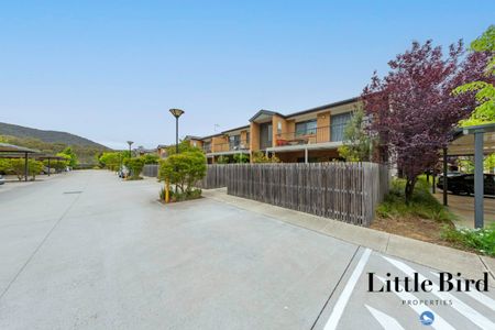 Light filled Ground Floor Apartment! - Photo 5