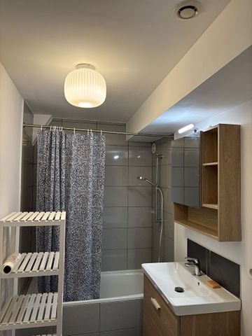 Location Appartement 1 pièce 21m² - Photo 5