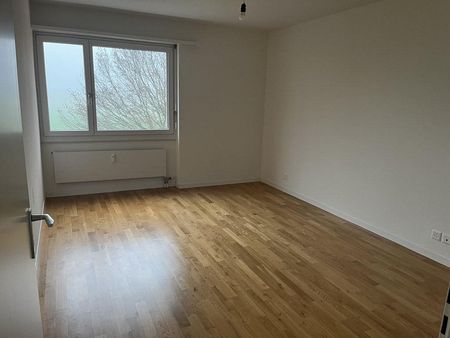 Grosszügige 5.5-Zimmer-Wohnung - zentral und ruhig gelegen - Photo 2