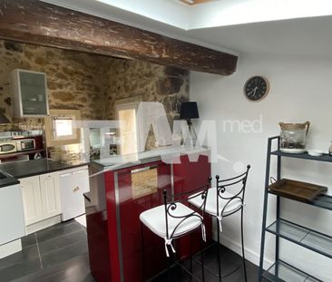 Location Appartement 1 pièce 23m² SETE 34200 - Photo 4