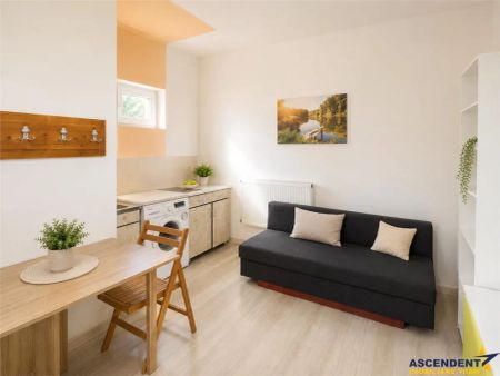 Garsoniera in vila, baie si bucatarie proprie, acces aproape independent, finisaje noi, investitie sau locuinta personala. - Fotografie 4