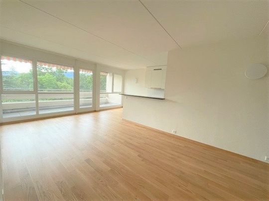 Quartier de la Gradelle - Chêne-Bougeries - Foto 1