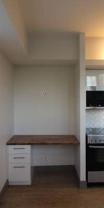 Newly Renovated Studio Apartment - $300 Move-In Incentive! - Photo 4