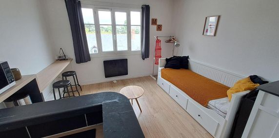 Location Appartement 1 pièce 19m² NANTES 44000 - Photo 2