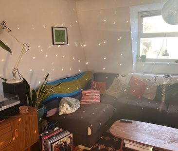 3 Bed Maisonette, Narford Road, E5 - Photo 5