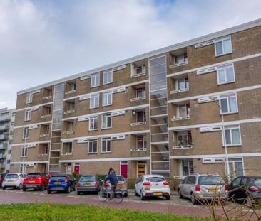 Cesar Franckstraat 0ong, 2324 JM Leiden, Nederland - Photo 2