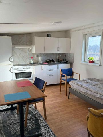 Skärlöta vibo, Norrköping - Foto 5