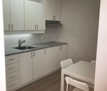 2.5 meublé/ Ste Hyacinthe/ AVRIL 2025-725 $ tout inclus - Photo 1