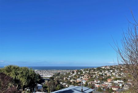 Unit B, 13 Henderson Street, Mornington, Dunedin - Photo 5