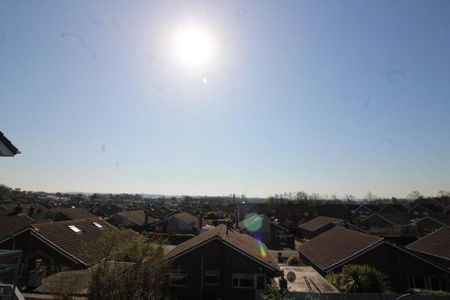 15 Monaville Close, Lisburn, BT28 2DG - Photo 4