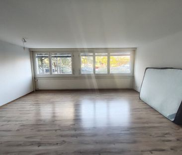 Completely renovated studio - Photo 1