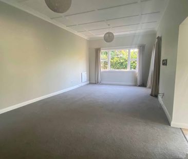 Room for all - Photo 1