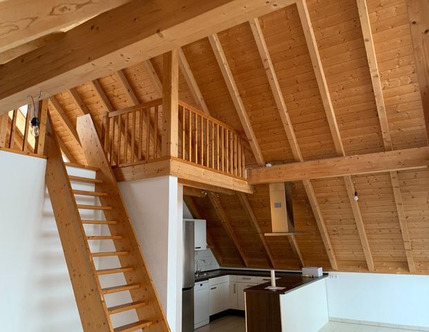 DG Maisonette Wohnung Radolfzell - Markelfingen - Foto 1