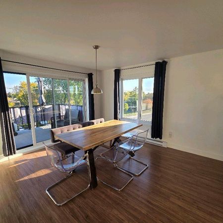 Grand 4 1/2 moderne et lumineux - Photo 3