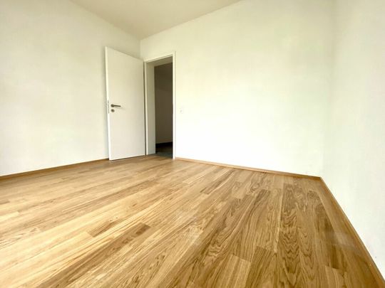 Attraktive 2.5 Zimmerwohnung im Kannenfeldquartier - Foto 1