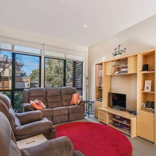 23 Brushbox Court, Clayton VIC 3168 - Townhouse For Rent | Domain - Photo 1