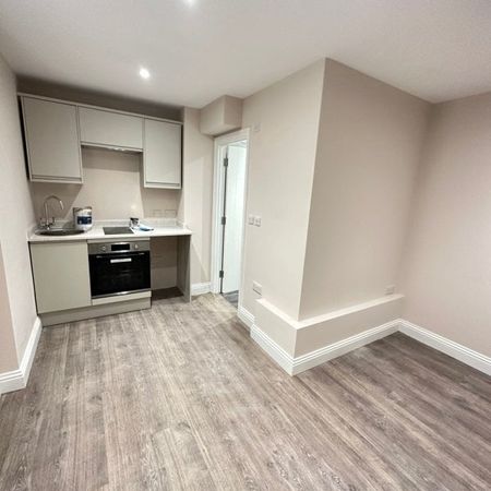 Dudley Mansions, Lansdowne Place, Hove - Photo 3