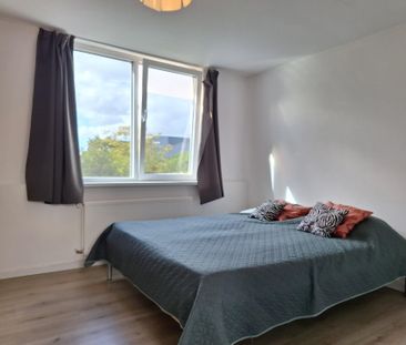 Te huur: Huis Benedenrijweg in Rotterdam - Foto 3