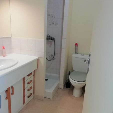 Location Appartement 1 pièce 24m² ANGERS 49100 - Photo 4