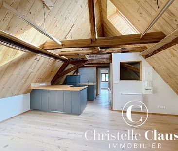 Appartement - BUSCHWILLER - 36m² - 1 chambre - Photo 1