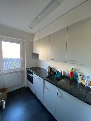 2.5 Zimmer, 58 m², 1. Stock - Photo 2