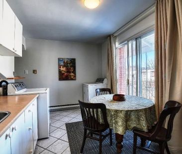 SHOPS ANGUS (MÉTRO PRÉFONTAINE) - 3 1/2 - 55 m² (600 p2) / SHOPS AN... - Photo 2