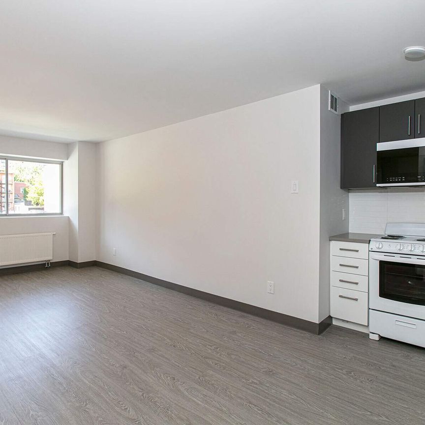 1 CH - 1 SDB - Outremont Près Laurier - $1,360 /mo - Photo 2