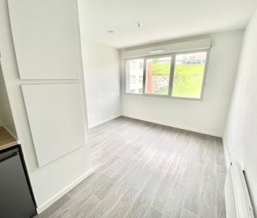 Location Appartement 1 pièce 19m² AUZEVILLE TOLOSANE 31320 - Photo 5