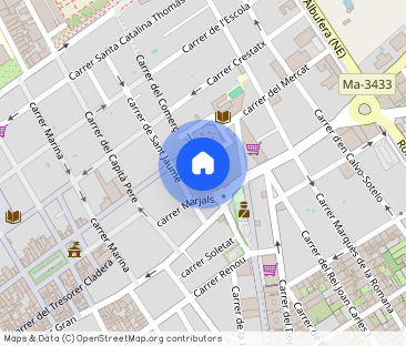 Alquiler dúplex duplex en alquiler en palacio en Sa Pobla - Photo 1