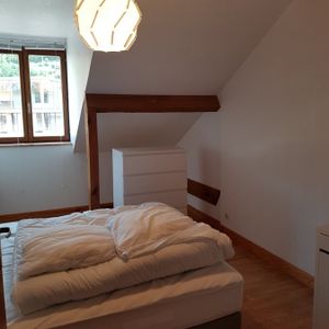 Appartement 1 chambre à La Bresse - Photo 2