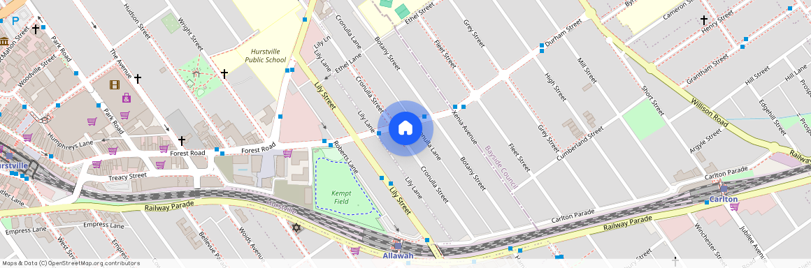 53A Durham Street, NSW 2218, Carlton