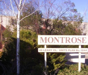 17/49 Leahy Close, Narrabundah ACT 2604 - Townhouse For Rent | Domain - Photo 1