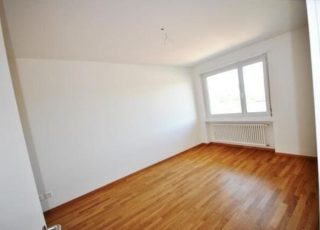 Tolle Singlewohnung in der City - Photo 2